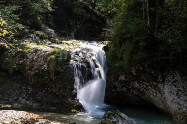Ormanda akan bir derenin küçük şelaleleri.
