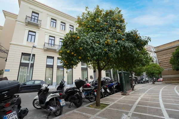 Atenas Grecia Noviembre 2021 Naranjos Una Calle Del Centro Ciudad — Foto de Stock