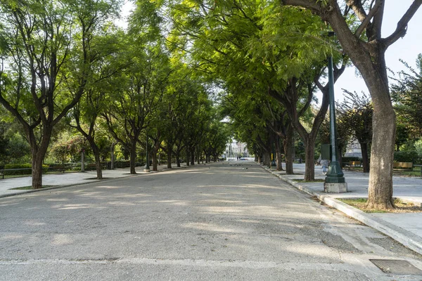 Athen Griechenland November 2021 Eine Allee Von Bäumen Gesäumten Park — Stockfoto
