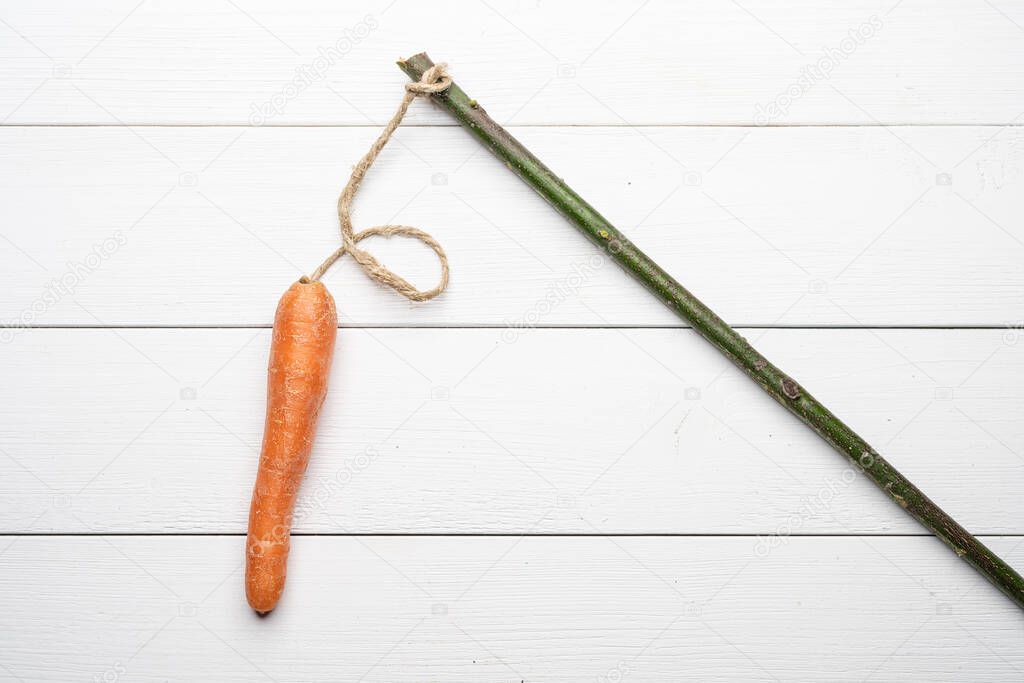 the carrot tied at the stick on a white wooden background as the concept of the old educational method