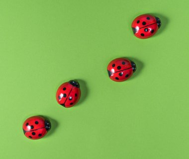 Renkli bir yüzeyde bazı uğur böceklerinin yukarıdan görünümü