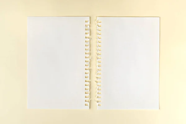 Deux Feuilles Papier Vierges Avec Perforation Latérale Sur Une Surface — Photo