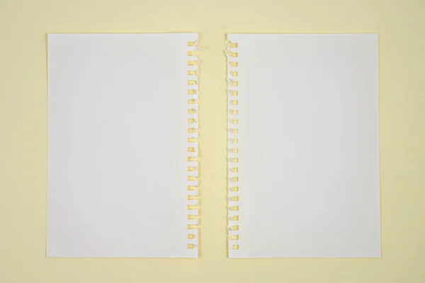 Due Fogli Bianchi Carta Con Perforazione Laterale Una Superficie — Foto Stock