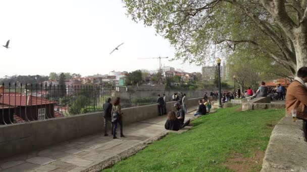 Porto Portugal Março 2022 Pessoas Relaxar Admirando Panorama Cidade Parque — Vídeo de Stock