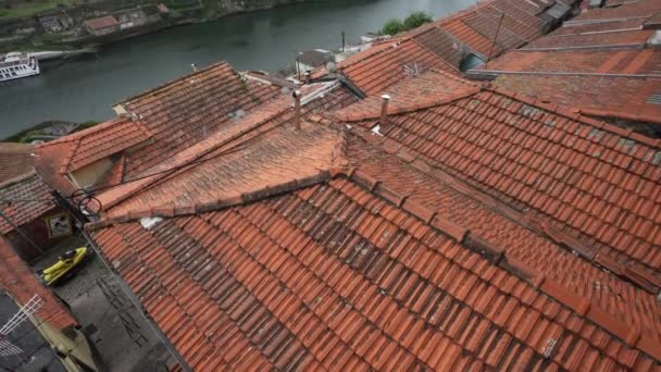 Porto Portogallo Marzo 2022 Tetti Delle Case Con Ponte Dom — Video Stock