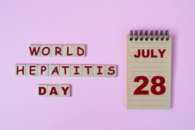 28 Temmuz Hepatit Günü 'nün kutlaması