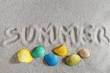 Sahilde renkli kabuklar var.