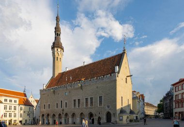 Tallinn, Estonya. Temmuz 2022 Tallinn belediye binasının panoramik manzarası şehir merkezinde.