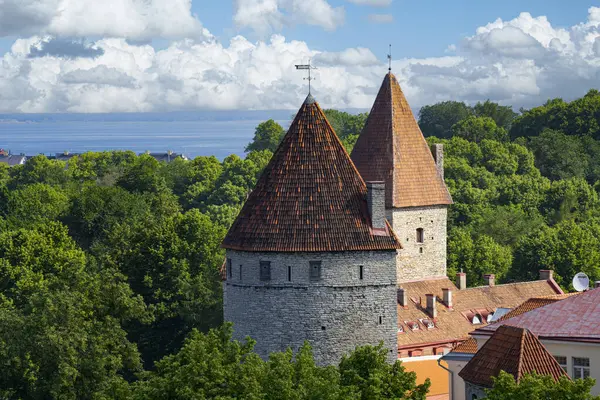 Ταλίν Εσθονία Ιούλιος 2022 Θέα Της Πόλης Από Την Ταράτσα — Φωτογραφία Αρχείου