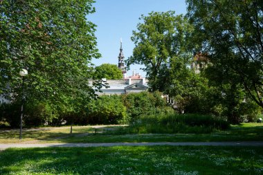 Tallinn, Estonya. Temmuz 2022 'de şehir merkezindeki bir parktan şehir manzarası