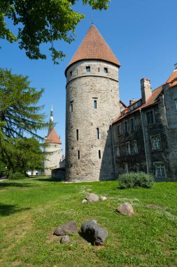 Tallinn, Estonya. Temmuz 2022 Loewenschede şehir merkezindeki ortaçağ kulesinin görüntüsü
