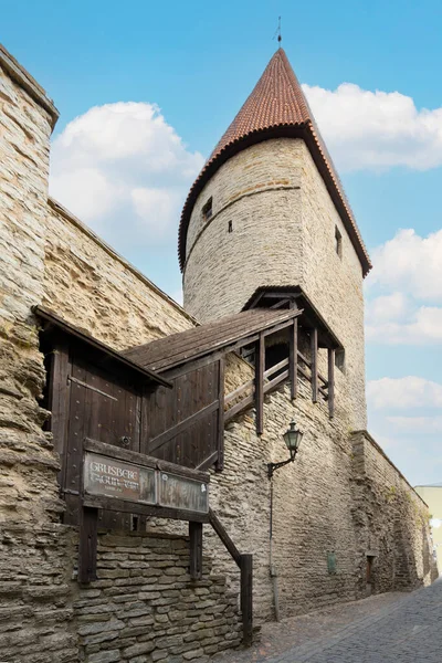 Tallinn Estonia July 2022 — Stockfoto