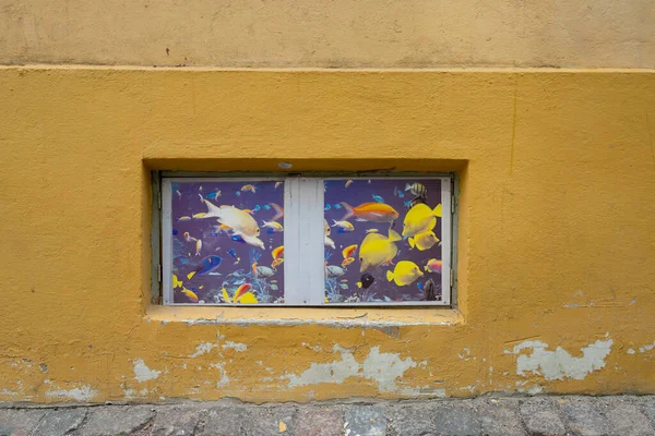 Tallinn Estonia July 2022 Fish Drawn Old Window House City — Fotografia de Stock