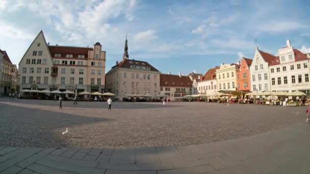 Tallinn Estland Juli 2022 Panoramisch Uitzicht Het Raekoja Plein Oude — Stockvideo