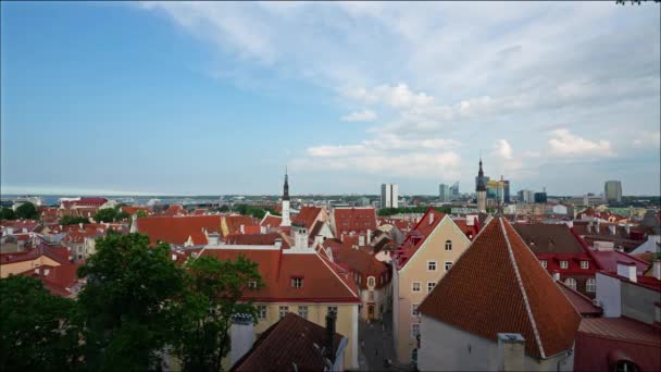 Tallinn Estonya Temmuz 2022 Kohtuotsa Izleme Platformundan Şehrin Görüntüsü — Stok video