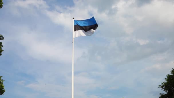 Tallin Estonia Julio 2022 Bandera Estonia Ondeando Cielo — Vídeos de Stock