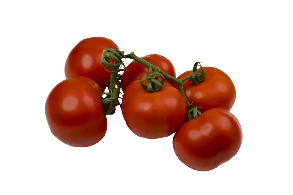 Bouquet Tomates Sur Une Surface Blanche — Photo