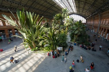 Madrid, İspanya, Eylül 2022 şehir merkezindeki Atocha tren istasyonu içindeki tropikal bahçenin panoramik manzarası.