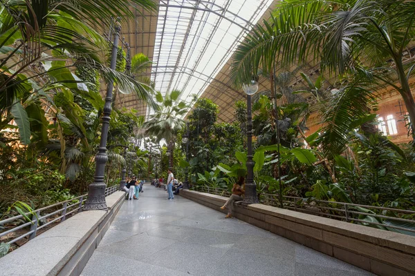 Мадрид Іспанія Вересень 2022 Року Тропічний Сад Приміщенні Залізничного Вокзалу — стокове фото