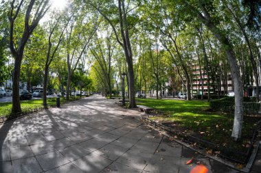 Madrid, İspanya, Eylül 2022 Paseo del Prado 'daki yeşil geçide bakınız.