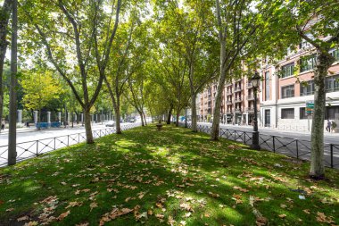 Madrid, İspanya, Eylül 2022 Paseo del Prado 'daki yeşil geçide bakınız.