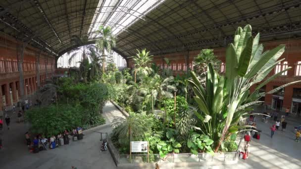 Madrid España Septiembre 2022 Jardín Tropical Interior Estación Tren Atocha — Vídeos de Stock