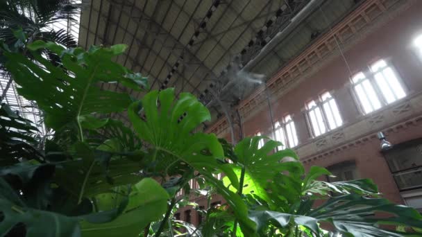 Madri Espanha Setembro 2022 Jardim Tropical Interior Estação Ferroviária Atocha — Vídeo de Stock