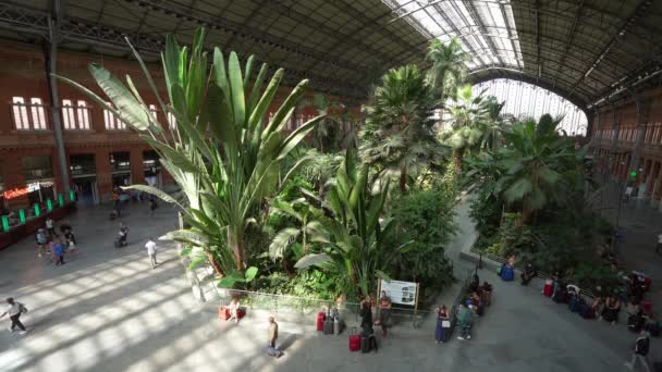 Madrid Spanien September 2022 Der Tropische Indoor Garten Atocha Bahnhof — Stockvideo