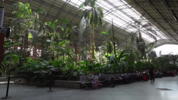 Madrid Španělsko Září2022 Vnitřní Tropická Zahrada Železniční Stanici Atocha Centru — Stock video