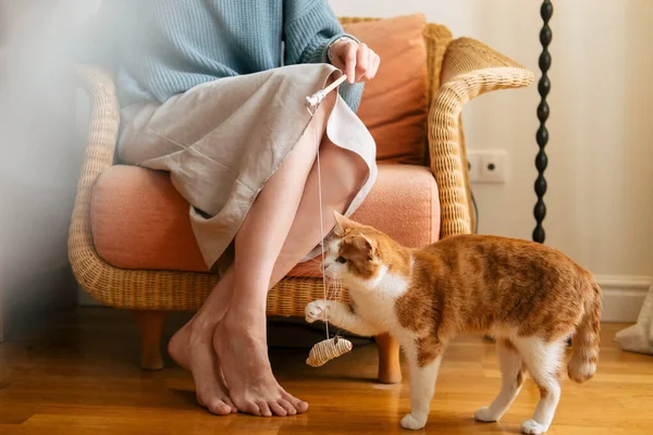 Etek ve örgü süveter giyen genç bir kadın kediyle oynuyor..