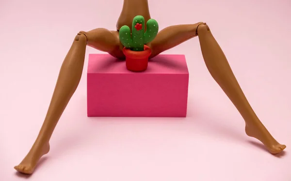 Műanyag Baba Lábai Szétterülnek Kaktuszok Lábak Között Állnak Rózsaszín Háttér — Stock Fotó