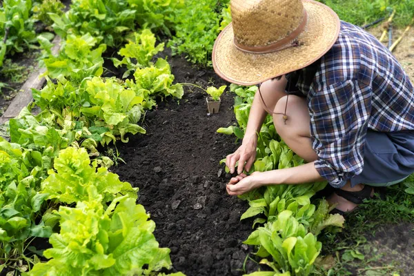 A young girl in a straw hat is engaged in gardening work. — Stock Photo, Image