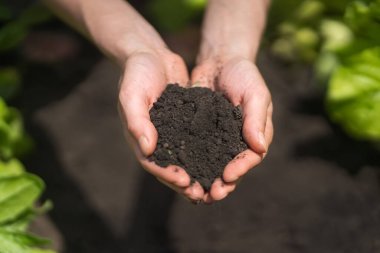 Çiftçinin elinde bir avuç kara toprak var..