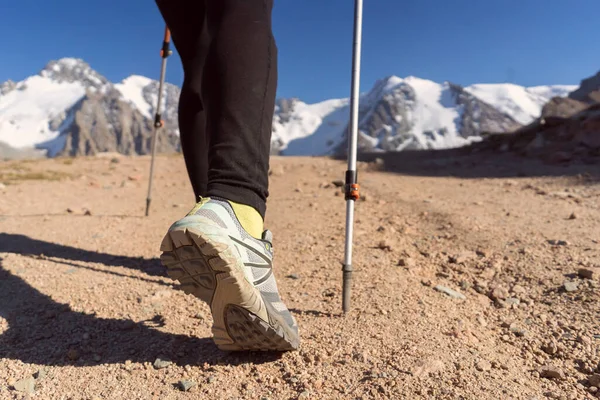 Traveler with trekking poles is walking in the mountains.