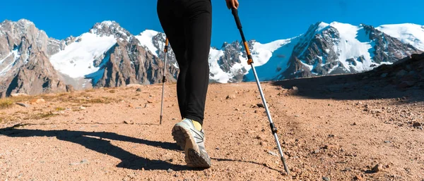 Traveler with trekking poles is walking in the mountains.