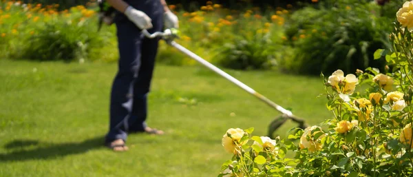 Homem Está Cortando Gramado Seu Belo Jardim Verão Floral Verde — Fotografia de Stock