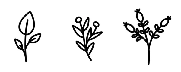 Zbiór elementów botanicznych do projektowania pocztówek, zaproszeń, tworzenia logo lub banerów. Czarno-białe kwiaty wektor, jagody, gałązki i liście do projektowania. Prosty, płaski styl doodle. — Wektor stockowy