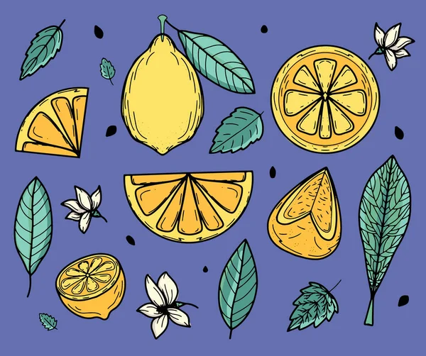 Vektor diatur dengan lemon kuning dan daun hijau untuk desain musim panas. Koleksi elemen dekoratif surya berair. Buah segar, vitamin C. Desain modern. Banner, kartu pos, papan nama, dekorasi, pencetakan - Stok Vektor