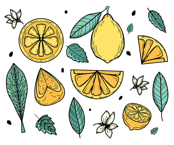Vektor készlet sárga citrom és zöld levelek nyári design. Szaftos napelemekből álló kollekció. Friss gyümölcs, C-vitamin. Modern design. Banner, képeslap, jelzőtábla, dekoráció, nyomtatás — Stock Vector
