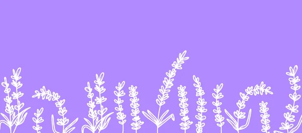 Fundo bonito com flores de lavanda desenhadas à mão, ervas médicas. Criar uma bandeira, cartaz, cartões postais. ilustração vetorial fundo lilás. O conceito de Provence francês, uma tendência botânica. — Vetor de Stock