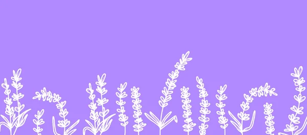 Gyönyörű háttér kézzel rajzolt levendula virágok, orvosi gyógynövények. Hogy létrehozzak egy transzparenst, plakátot, képeslapot. Vektor illusztráció orgona háttér. Francia Provence koncepciója, botanikai trend. — Stock Vector