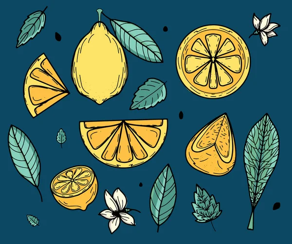Vector set with yellow lemon and green leaves for summer design. Collection of juicy solar decorative elements. Fresh fruit, vitamin C. Modern design. Banner, postcard, signboard, decoration, printing — Stock Vector