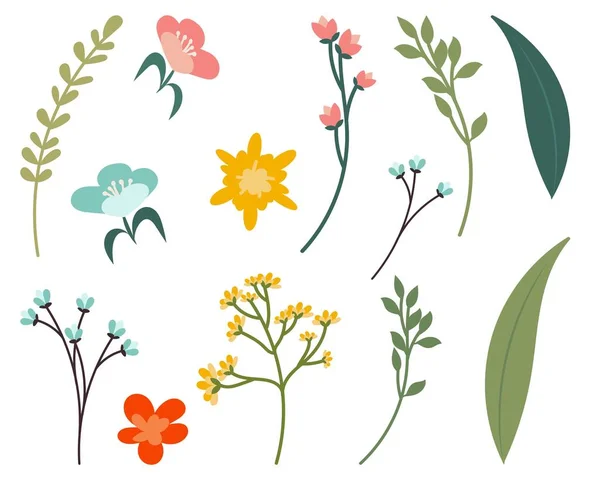 Gyűjteménye vektor színek, hogy hozzon létre egy egyedi design. Ágak, virágok, virágzó fák, levelek. Botanikai készlet sablonok, képeslapok, plakátok, névjegykártyák készítéséhez. Finom tavaszi árnyalatok. — Stock Vector