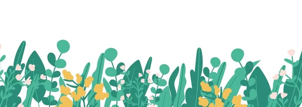 Plantas de bandeira vetorial minimalista. Mão desenhada floral, grama, ramos, folhas em um fundo branco. Verde padrão horizontal simples. Estilo simples e plano. Todos os elementos são isolados e editáveis — Vetor de Stock