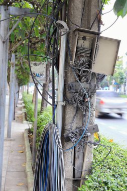 Elektrik direğindeki elektrik kablosu kabinini terk et ve kır.