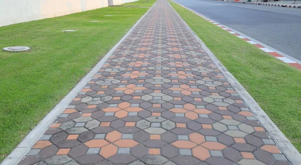 Color Long Paved Brick Footpath Brick Path Sidewalk Perspective Going — Stock Photo, Image