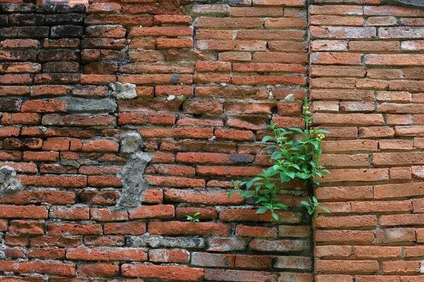 Decay Old Red Brick Wall Wide Panorama Masonry Bricklaying Old — Stockfoto