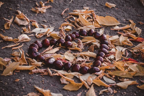 from chestnuts the figure of heart on the earth is laid out