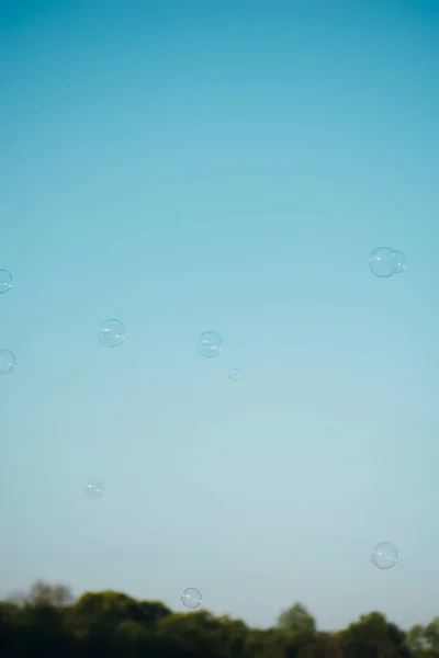 soap bubbles fly in the sky