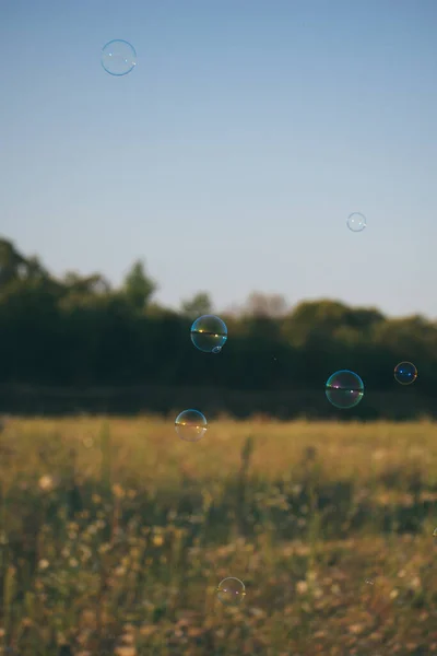soap bubbles fly in the sky
